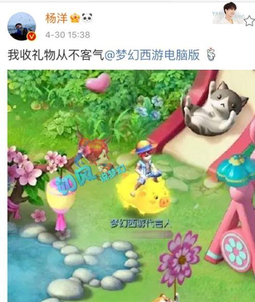 金猪和嘎子爆料视频,娱乐圈幕后真相大曝光  第2张