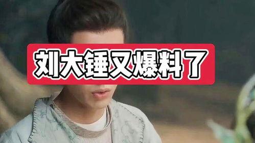 刘大锤爆料刘姓艺人视频  第1张