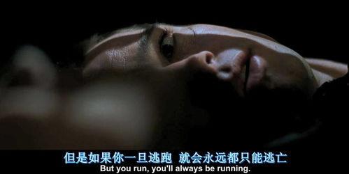 电影就是电影在线观看,在线观影的无限魅力  第2张