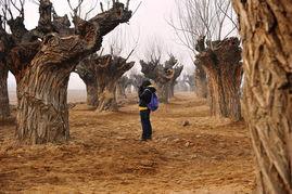 西安湿地公园爆料视频,自然美景引网友热议  第2张